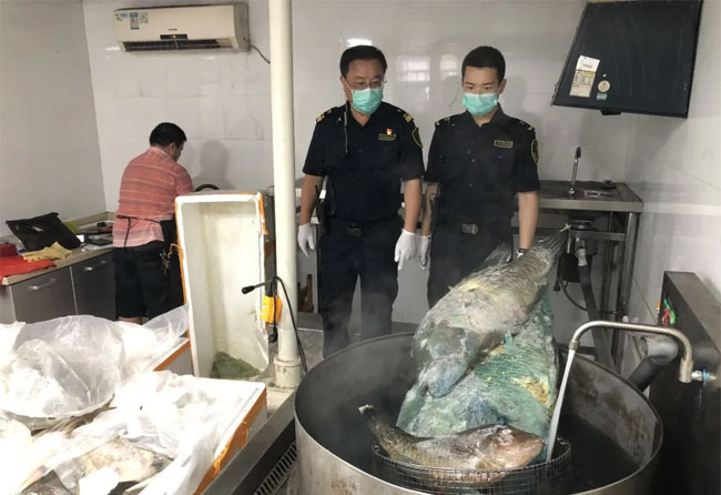 海鲜冷冻食品销毁
