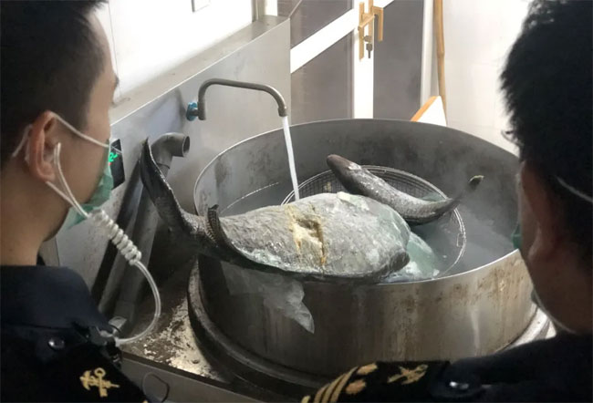 海鲜冷冻食品销毁