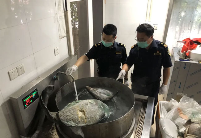 海鲜冷冻食品销毁