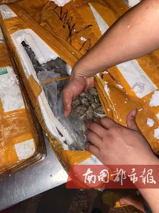 海鲜冷冻食品销毁