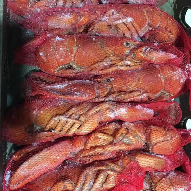 合肥过期食品销毁