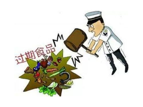 安徽过期食品销毁