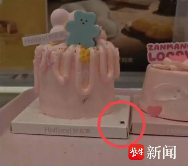 食品销毁处置