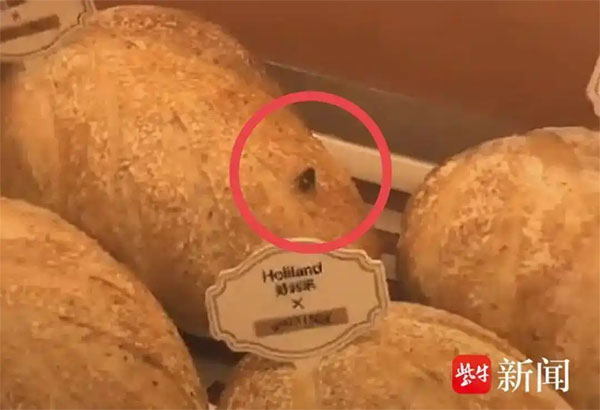 食品销毁处置