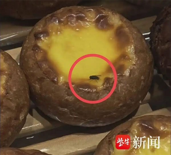 食品销毁处置